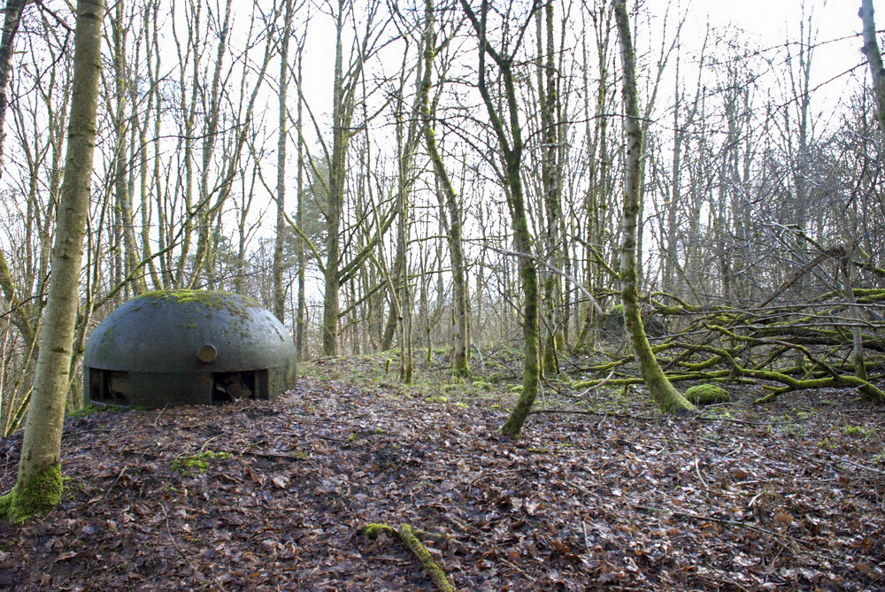 Ligne Maginot - SCHIESSECK - (Ouvrage d'artillerie) - Bloc 5
Deux cloches GFM et une cloche JM - LEHMANN Denis
