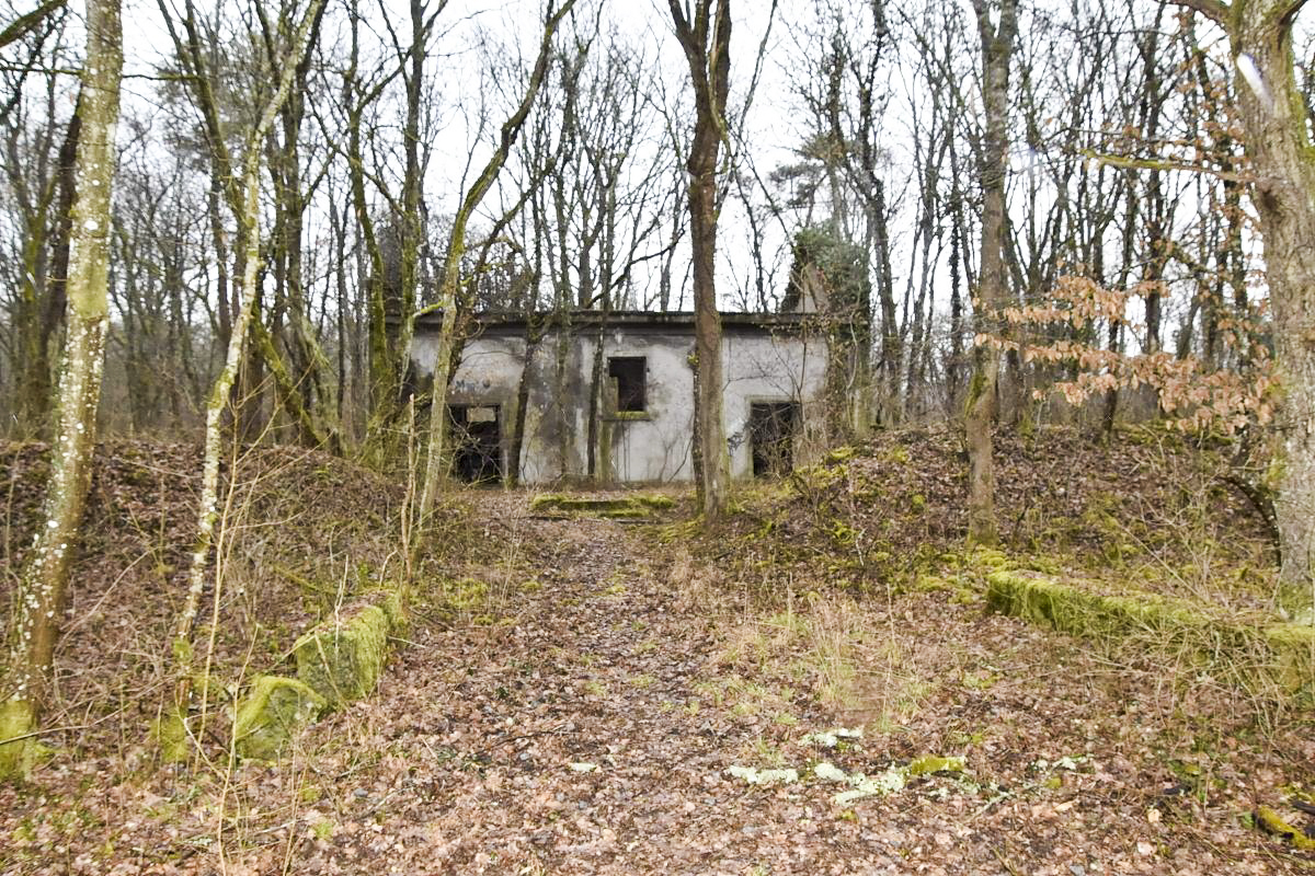 Ligne Maginot - REININGUE - DéPôT ARRIèRE - (Dépôt de Munitions) - Bâtiment encore en place (D)
Inscription Mag G au dessus de la porte - Daniel Froehly