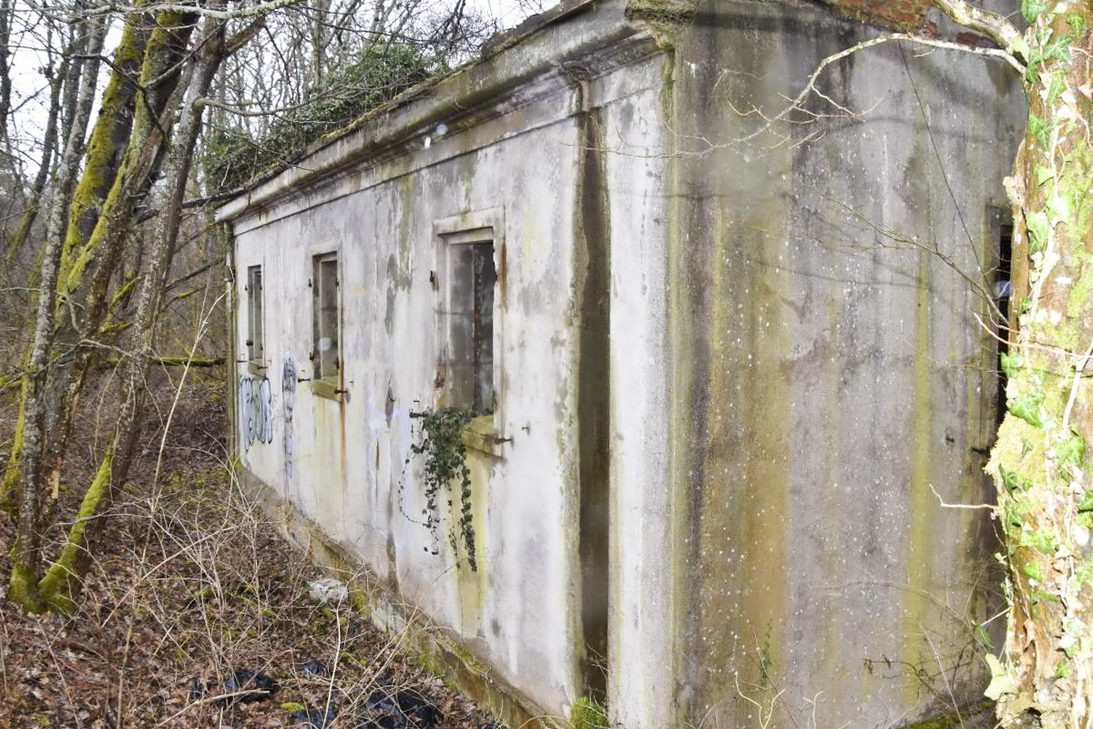 Ligne Maginot - REININGUE - DéPôT ARRIèRE - (Dépôt de Munitions) - Arrière du bâtiment encore en place (D) - Daniel Froehly