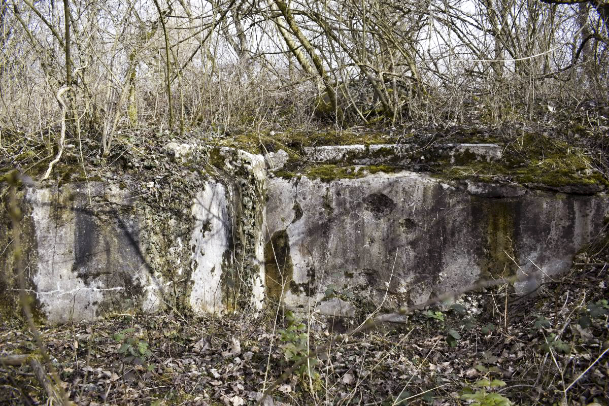 Ligne Maginot - 7/1 - PONT RAIL DE CHALAMPE SUD - (Abri) - Coté ouest du toit avec la cloche en ombre - D. Froehly
