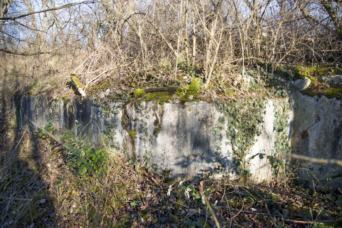 Ligne Maginot - 7/1 - PONT RAIL DE CHALAMPE SUD - (Abri) - Façade ouest - Daniel Froehly