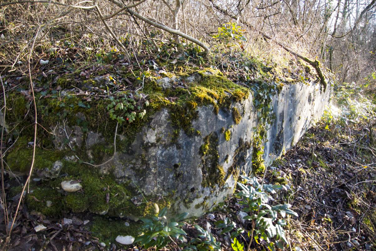 Ligne Maginot - 7/1 - PONT RAIL DE CHALAMPE SUD - (Abri) - Façade ouest - Daniel Froehly