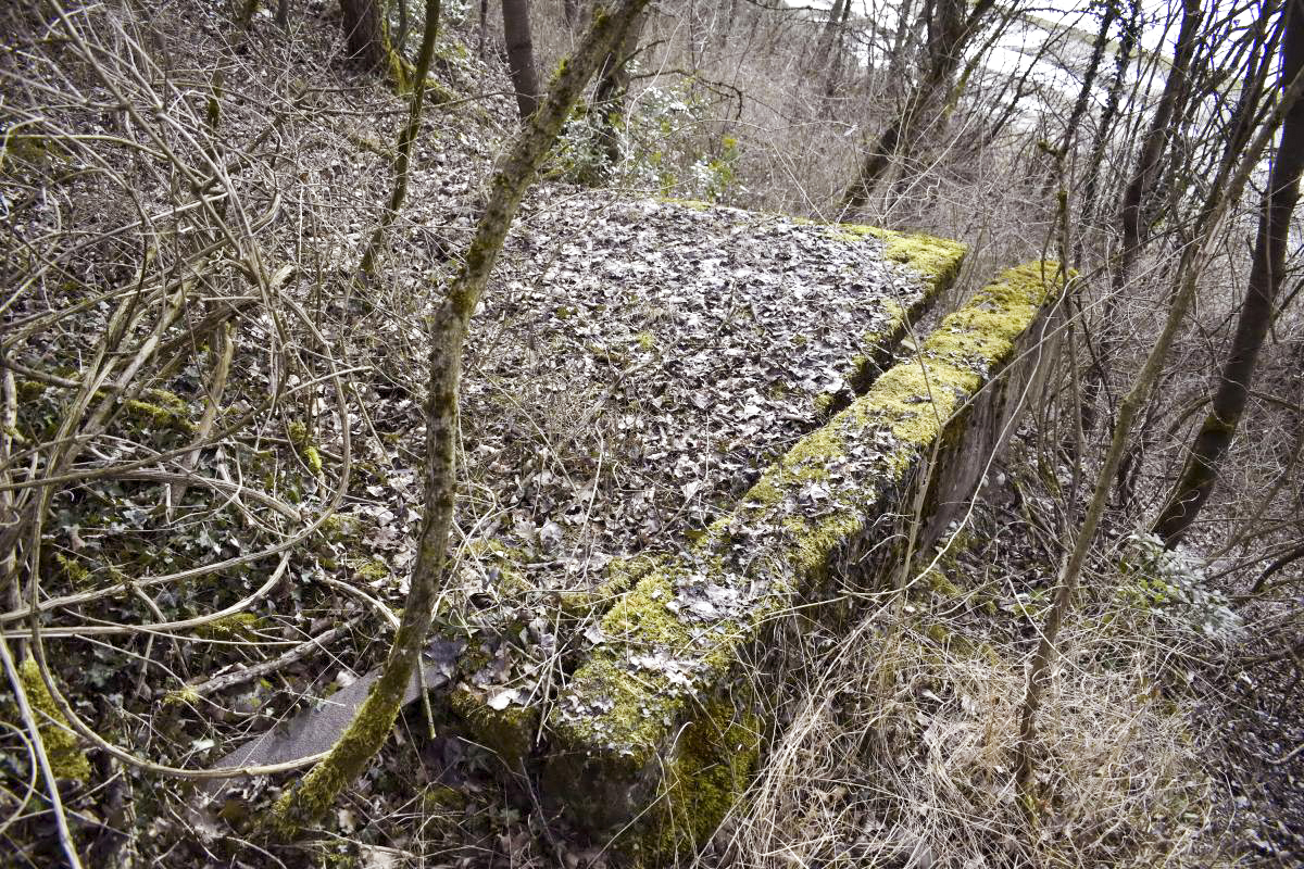 Ligne Maginot - 7/1 - PONT RAIL DE CHALAMPE SUD - (Abri) - Plaque de béton qui pouvait être le toit d'un abri sommaire - D. Froehly