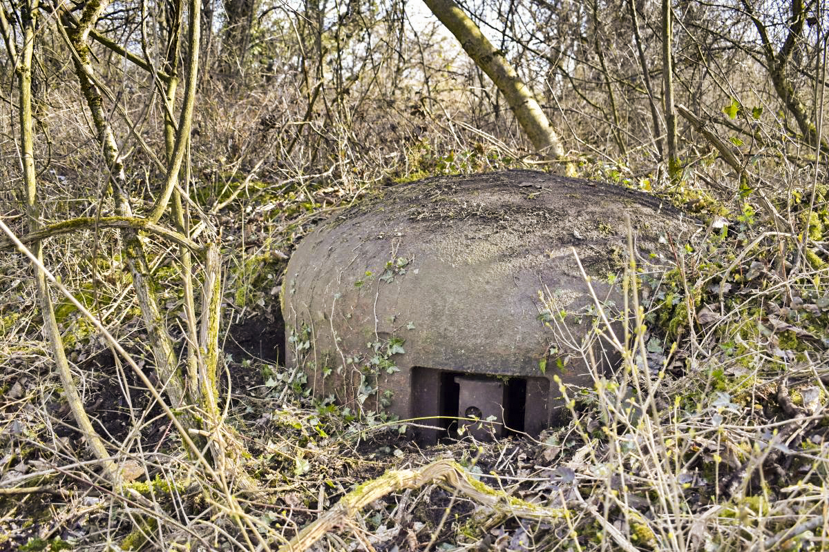 Ligne Maginot - 7/1 - PONT RAIL DE CHALAMPE SUD - (Abri) - Cloche vue de face - D. Froehly