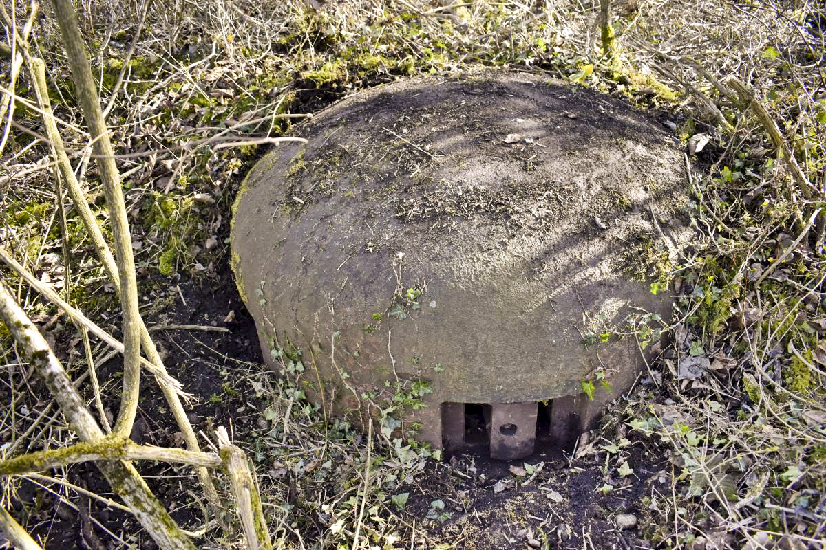 Ligne Maginot - 7/1 - PONT RAIL DE CHALAMPE SUD - (Abri) - Cloche vue du dessus - D. Froehly
