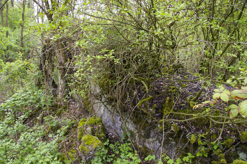 Ligne Maginot - 6/1 - CHALAMPE BERGE SUD - (Casemate d'infanterie - Double) - Un des murs restant
Casemate détruite - Un pan de murs restant - D. Froehly
