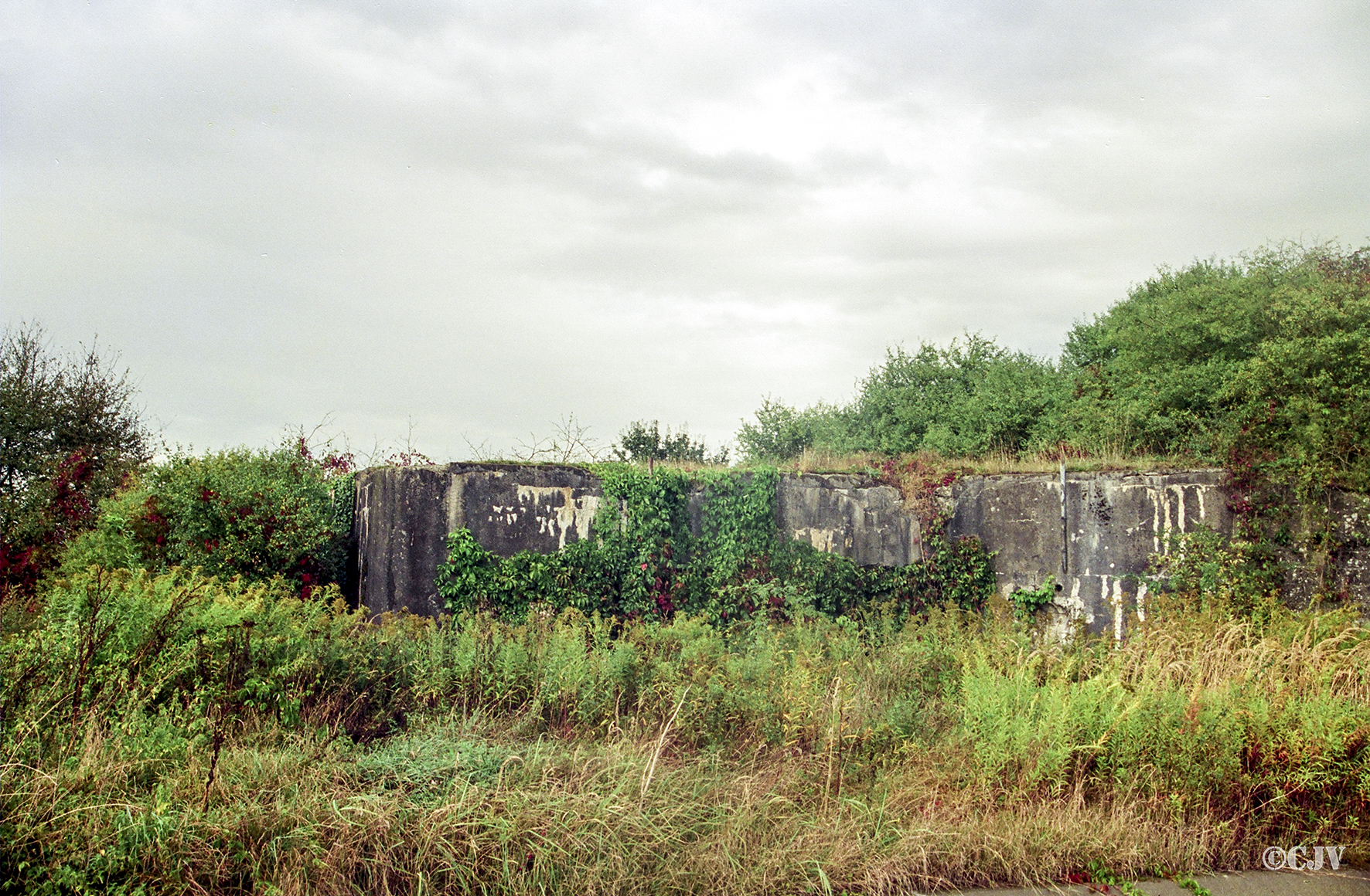 Ligne Maginot - 61/3 - OTTMARSHEIM SUD - (Casemate d'infanterie - Double) -  - Lia VERMEULEN