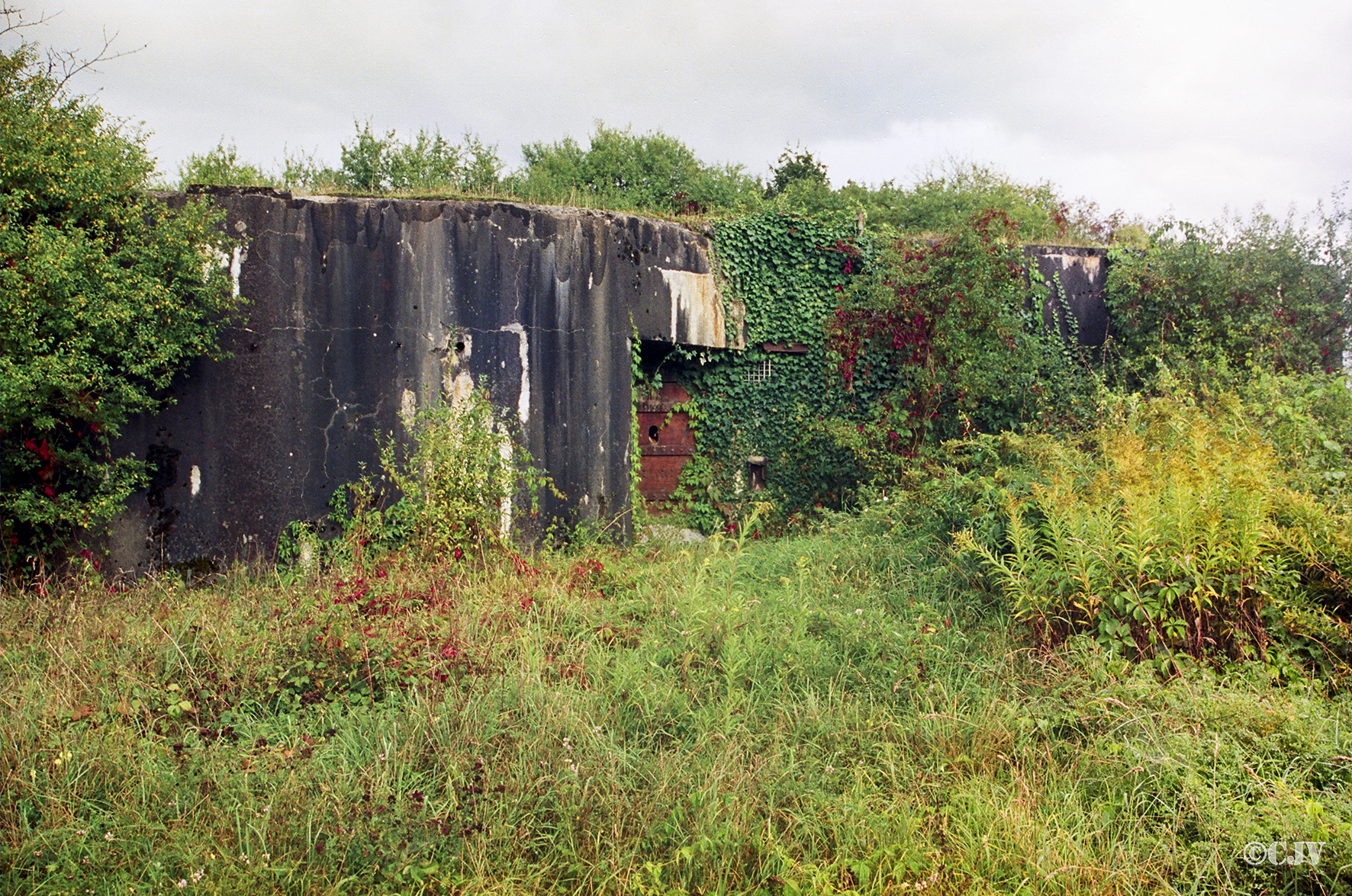 Ligne Maginot - 61/3 - OTTMARSHEIM SUD - (Casemate d'infanterie - Double) -  - Lia VERMEULEN