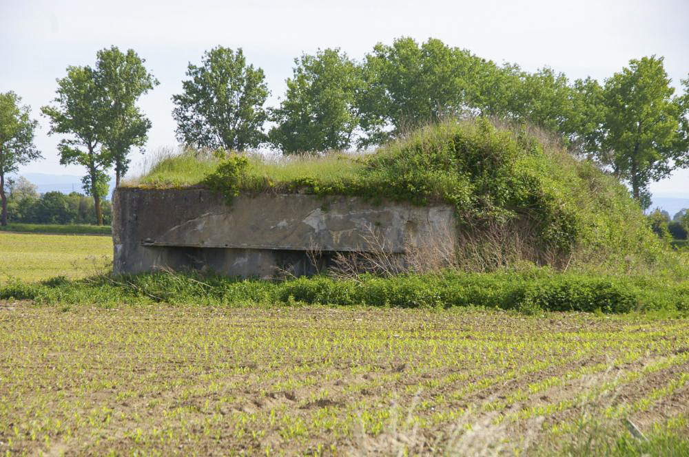 Ligne Maginot - Vue extérieure nord - Vue de l'abri en venant du village de Bantzenheim - D. Froehly
