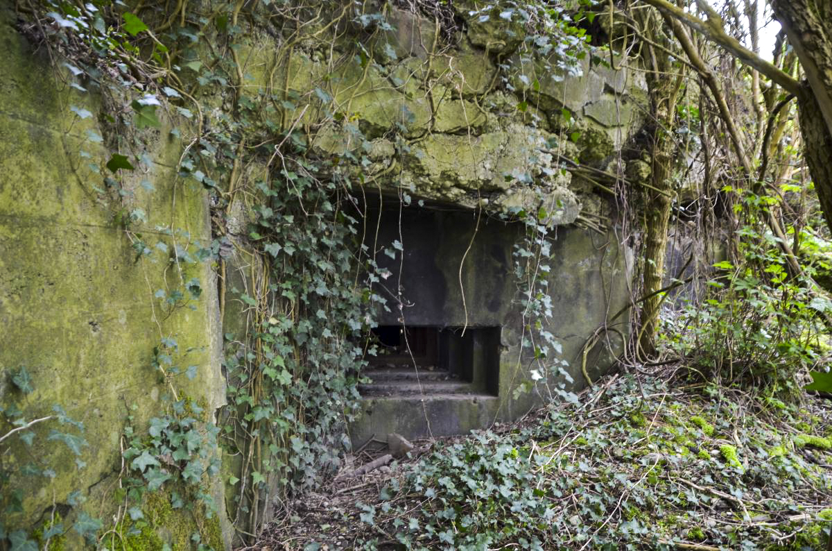 Ligne Maginot - 57/3 - RUMERSHEIM SUD - (Casemate d'infanterie - Double) -  - D. Froehly
