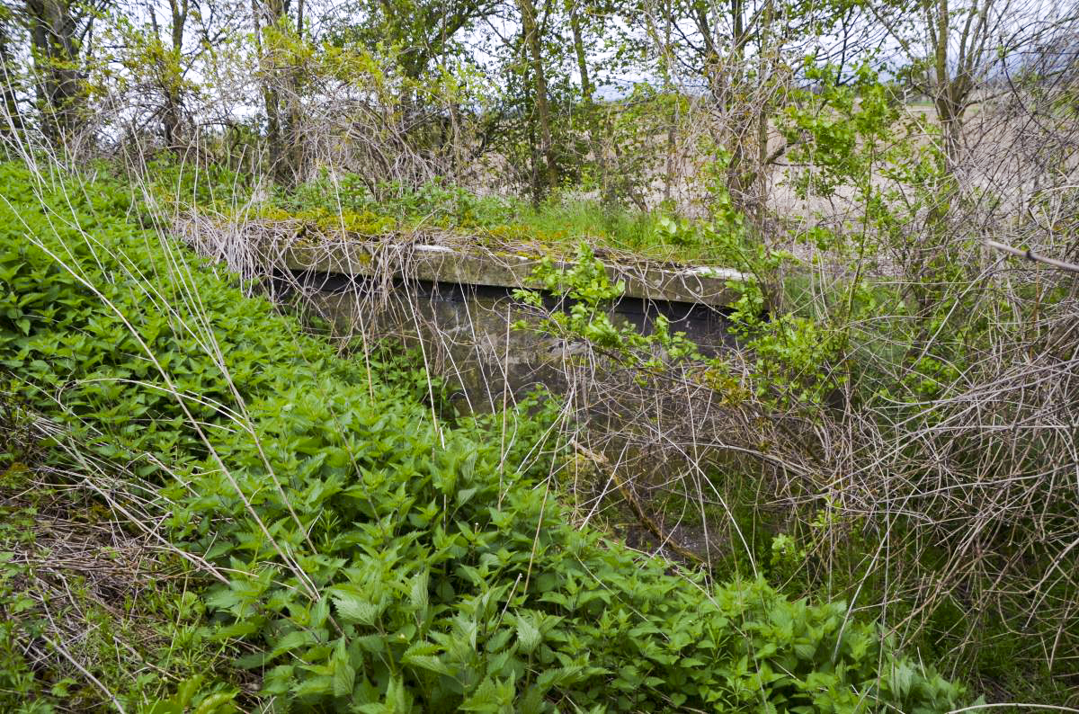 Ligne Maginot - 57/3 - RUMERSHEIM SUD - (Casemate d'infanterie - Double) -  - D. Froehly