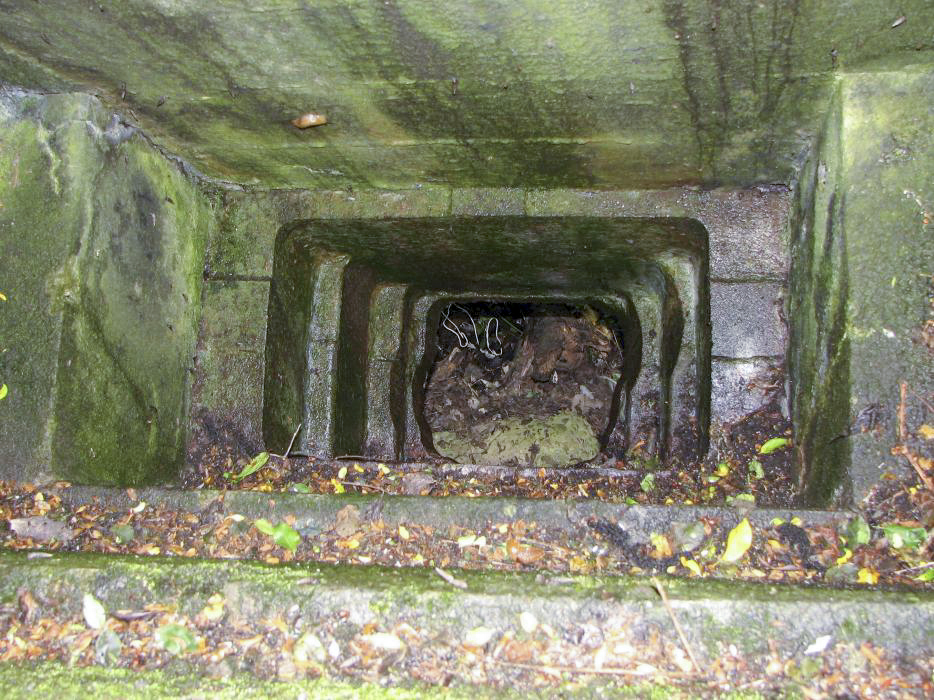 Ligne Maginot - 56/3 - RUMERSHEIM NORD - (Casemate d'infanterie - Double) - La casemate est explosée.
Ce créneau est dirigé vers le ciel. - J-F ALTHAUS - MMHA