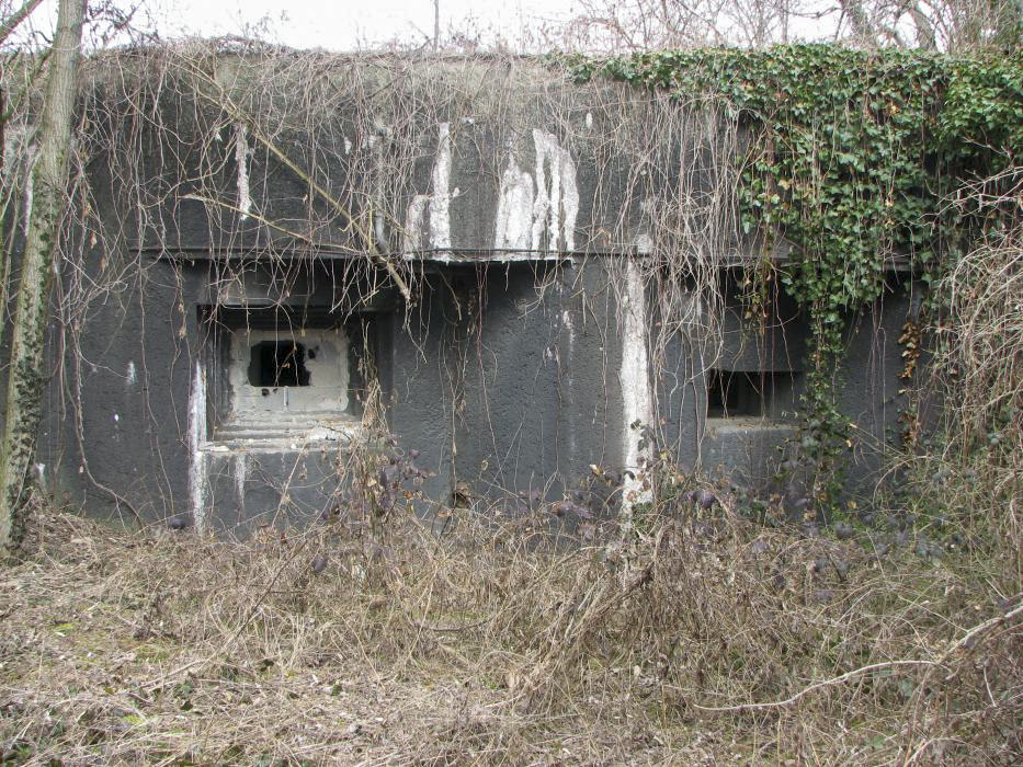 Ligne Maginot - 35/2 - CHALAMPE SUD OUEST - (Casemate d'infanterie - Simple) - Créneau de tir pour canon de 47 mm et créneau pour mitrailleuse de 7,5 mm - JF ALTHAUS