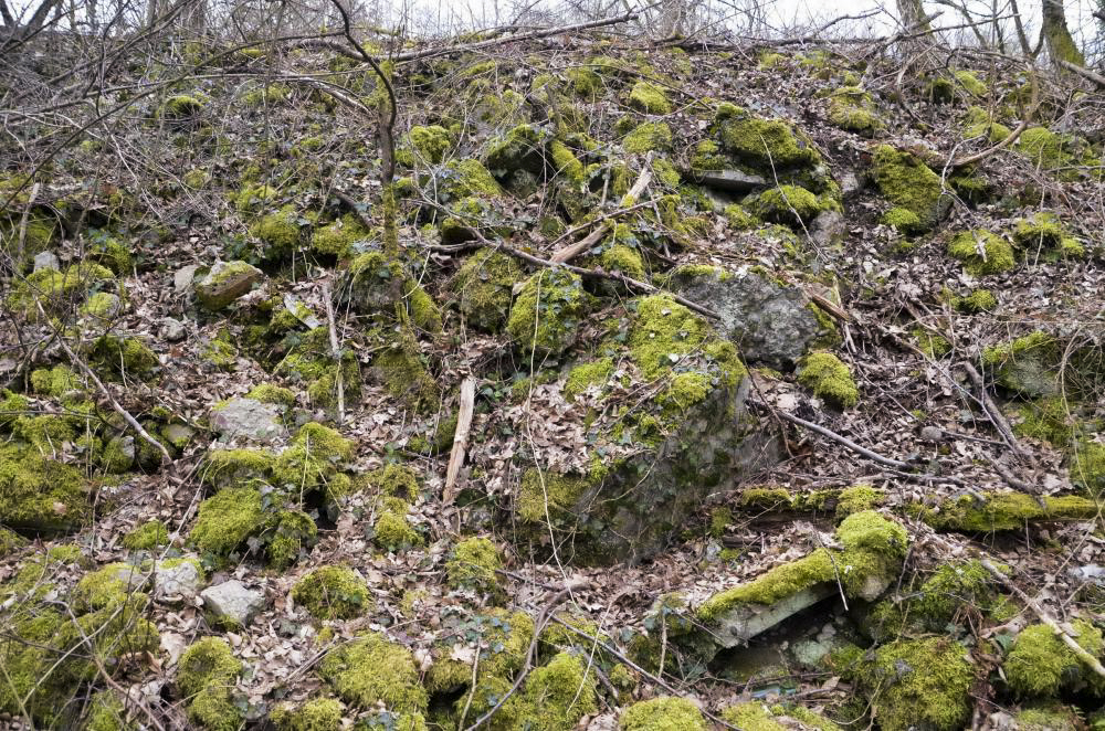 Ligne Maginot - BATTENHEIM ECLUSE 44 SUD - (Cuve pour arme d'infanterie) -  - D. Froehly