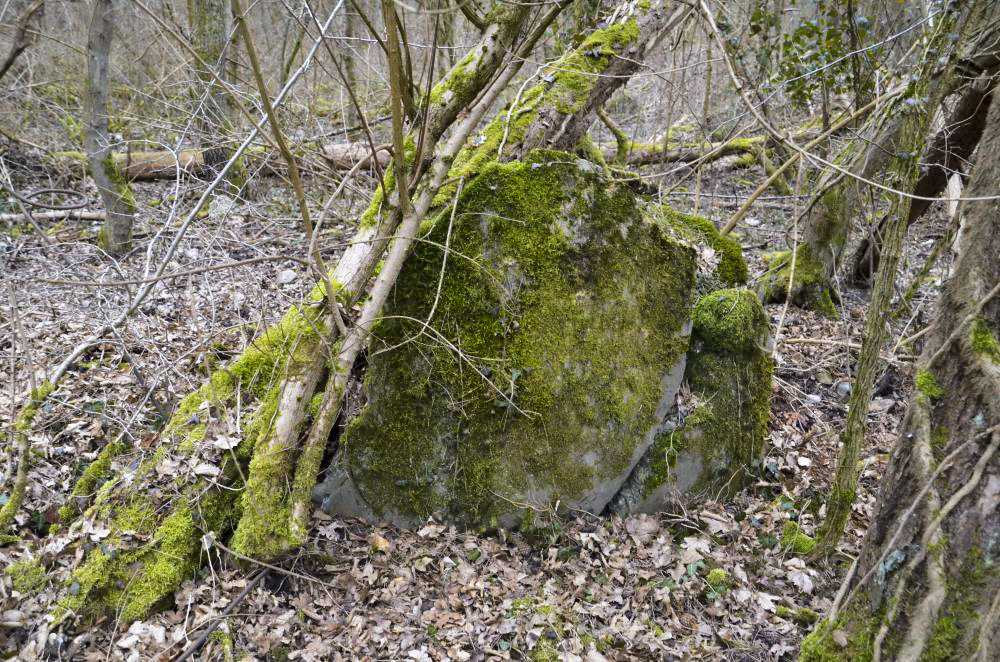 Ligne Maginot - BATTENHEIM ECLUSE 44 SUD - (Cuve pour arme d'infanterie) -  - D. Froehly