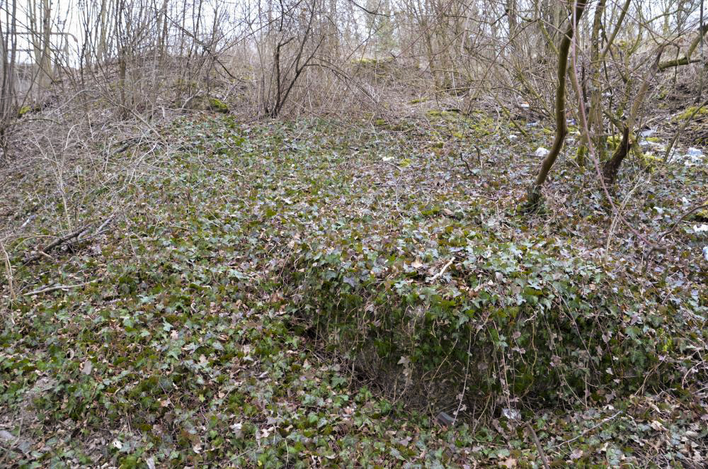 Ligne Maginot - BATTENHEIM ECLUSE 44 BARRAGE - (Barrage de Route) - Blocs de béton - D. Froehly