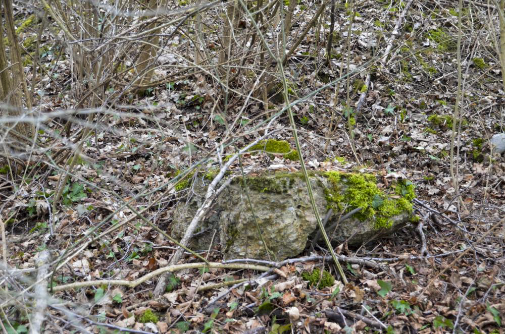 Ligne Maginot - BATTENHEIM ECLUSE 44 BARRAGE - (Barrage de Route) - Blocs de béton - D. Froehly