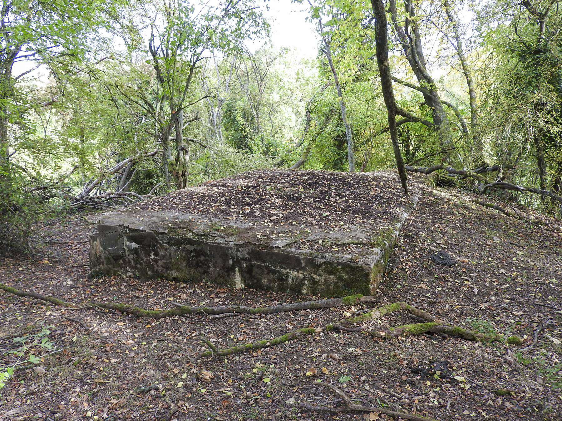 Ligne Maginot - WELSCHBRUCH NORD 2 - (Blockhaus pour arme infanterie) -  - STENGER Mathieu