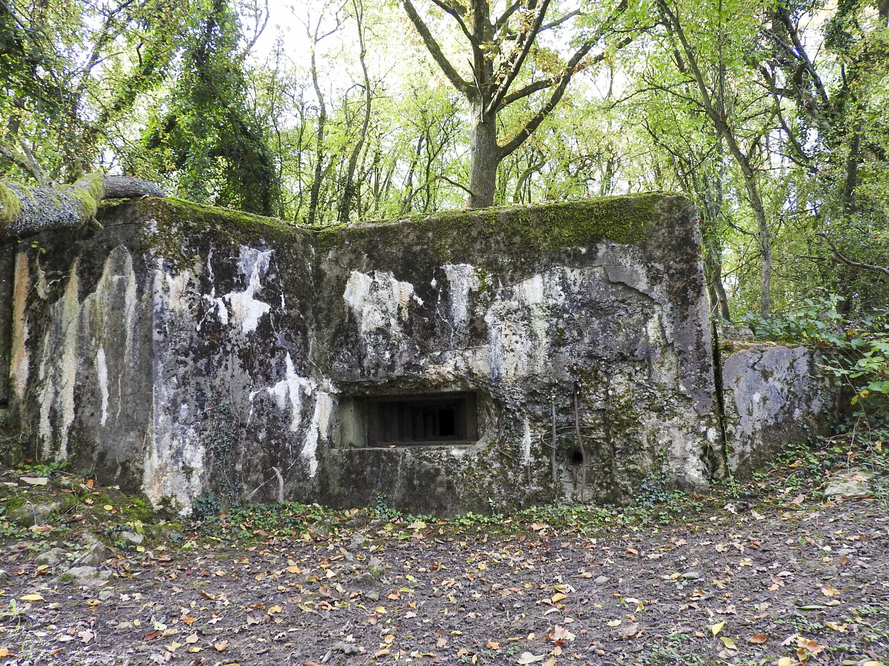 Ligne Maginot - WELSCHBRUCH NORD 2 - (Blockhaus pour arme infanterie) -  - STENGER Mathieu