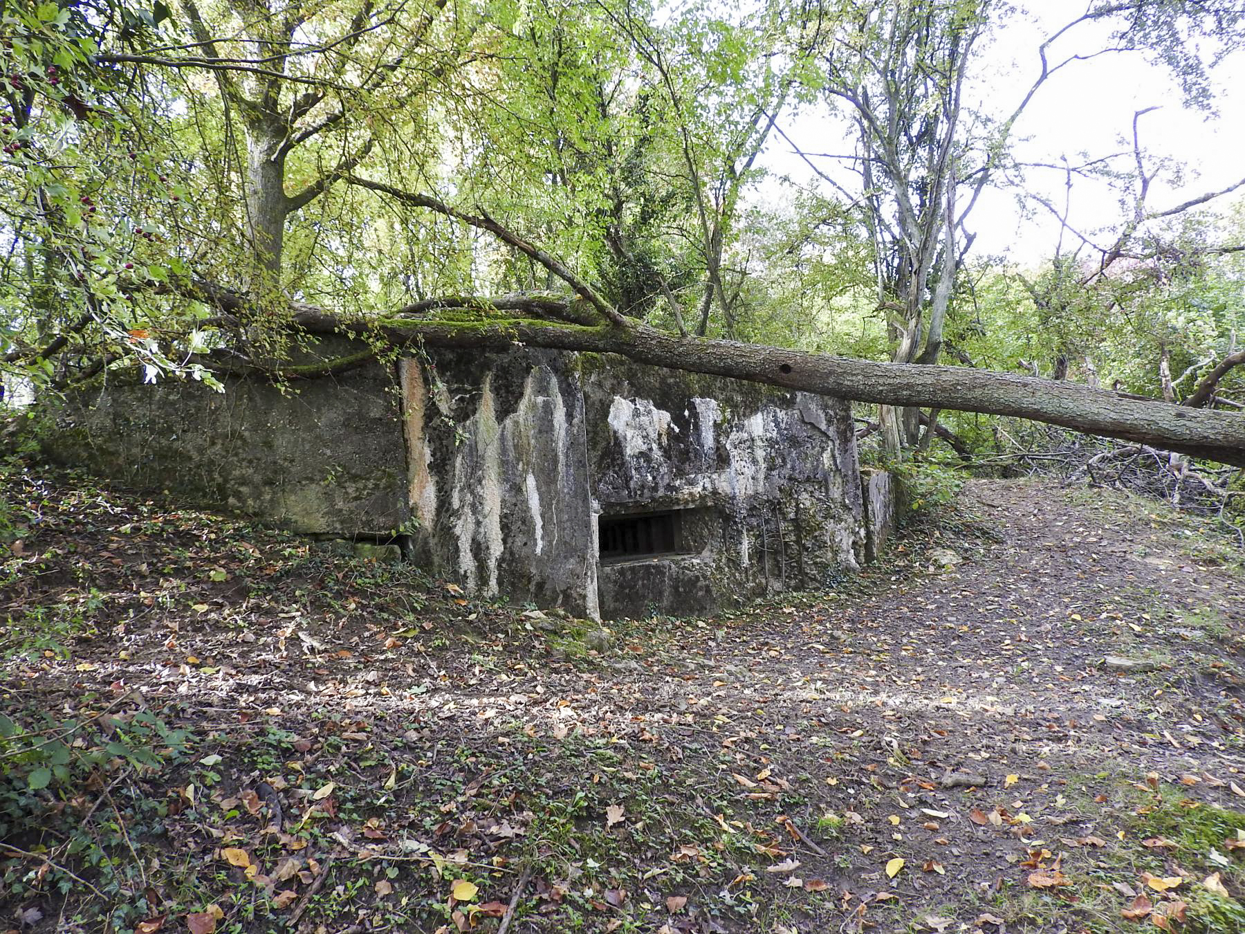 Ligne Maginot - WELSCHBRUCH NORD 2 - (Blockhaus pour arme infanterie) -  - STENGER Mathieu