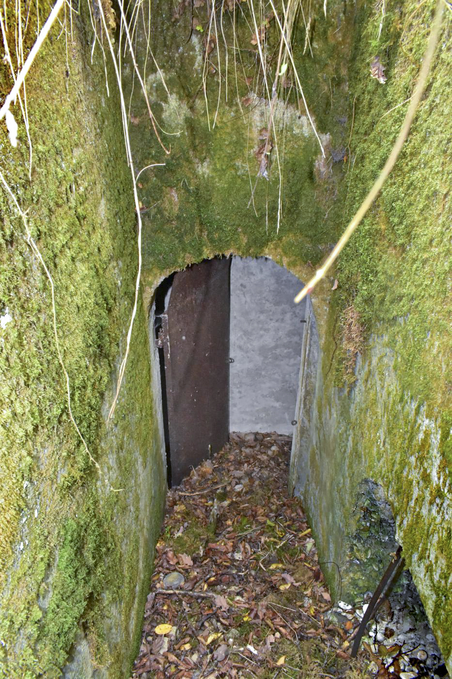 Ligne Maginot - CARREFOUR 224 EST - (Abri) - Entrée Sud - D.Froehly