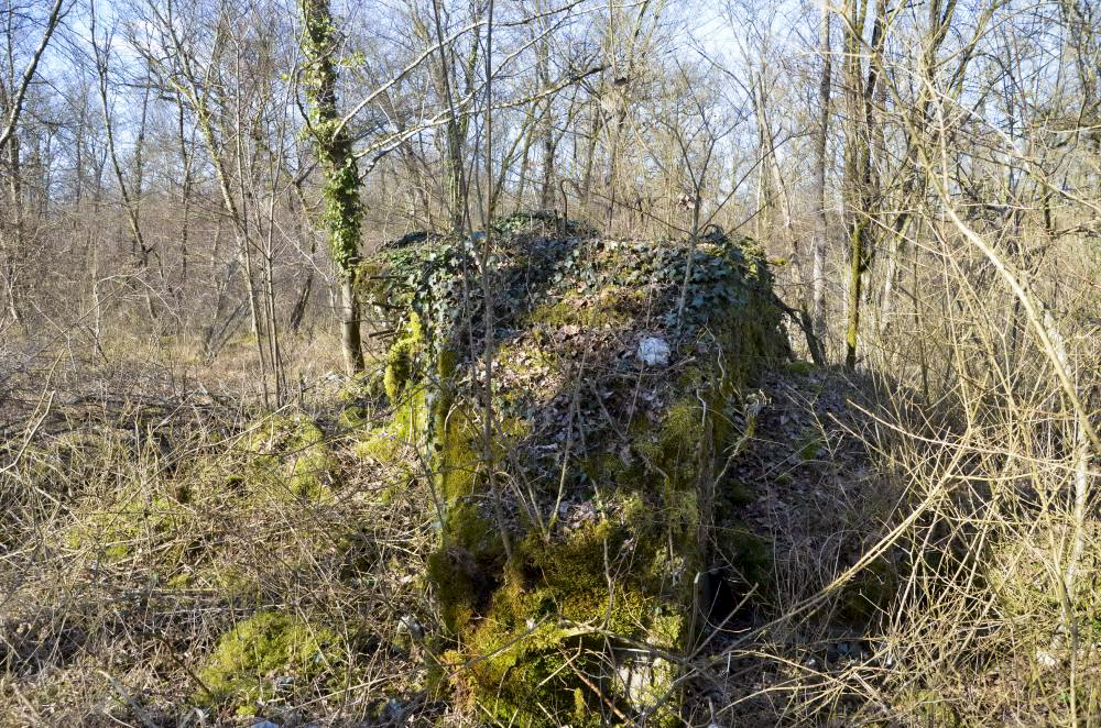 Ligne Maginot - CARREFOUR 224 NORD - (Blockhaus pour arme infanterie) - Vue coté sud - D. Froehly