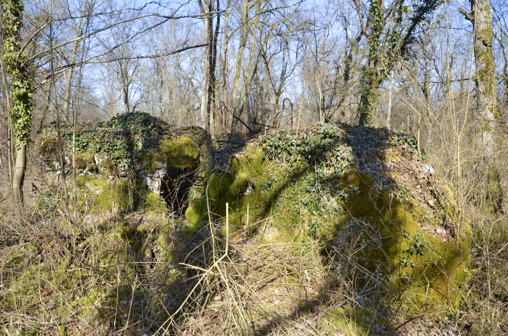 Ligne Maginot - CARREFOUR 224 NORD - (Blockhaus pour arme infanterie) - Vue coté sud. - D. Froehly