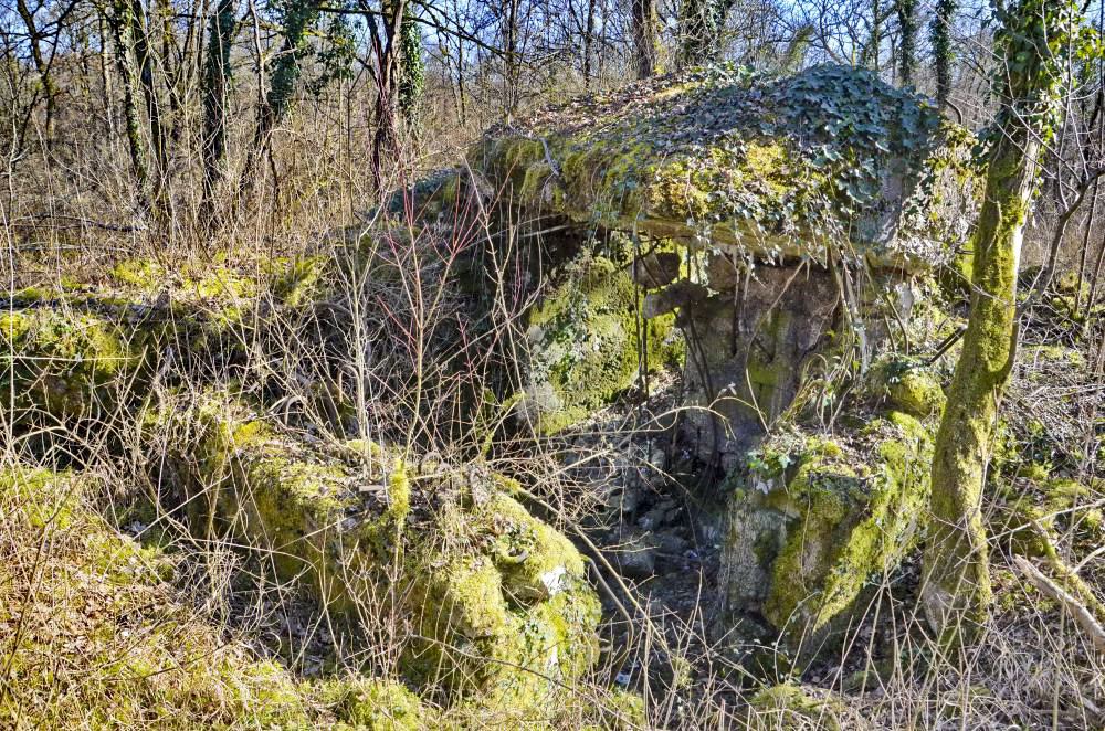 Ligne Maginot - CARREFOUR 224 NORD - (Blockhaus pour arme infanterie) - Façade nord avec l'entrée matériel - D. Froehly