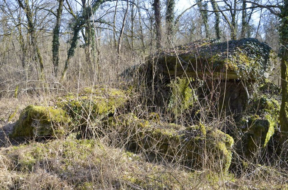 Ligne Maginot - CARREFOUR 224 NORD - (Blockhaus pour arme infanterie) - Façade nord avec l'entrée matériels. Une partie du toit effondré est visible à gauche - D. Froehly