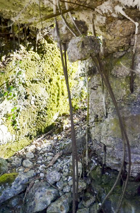 Ligne Maginot - CARREFOUR 224 NORD - (Blockhaus pour arme infanterie) - Couloir séparant les deux pièces. - D. Froehly