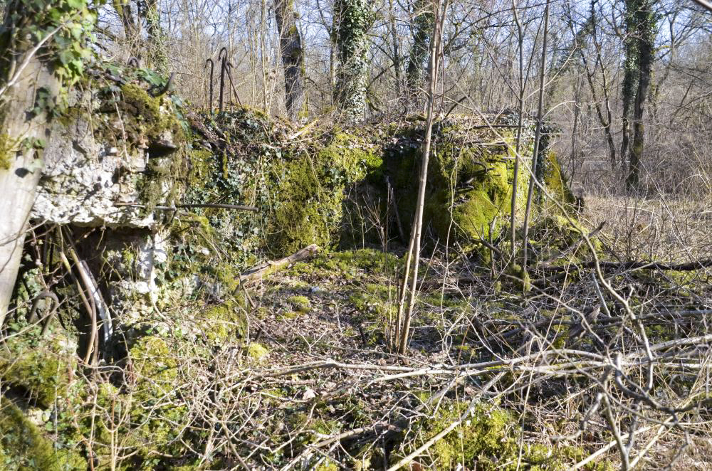 Ligne Maginot - CARREFOUR 224 NORD - (Blockhaus pour arme infanterie) - Pièce sud, on remarque bien l'absence de gravât et le ferraillage. - D. Froehly