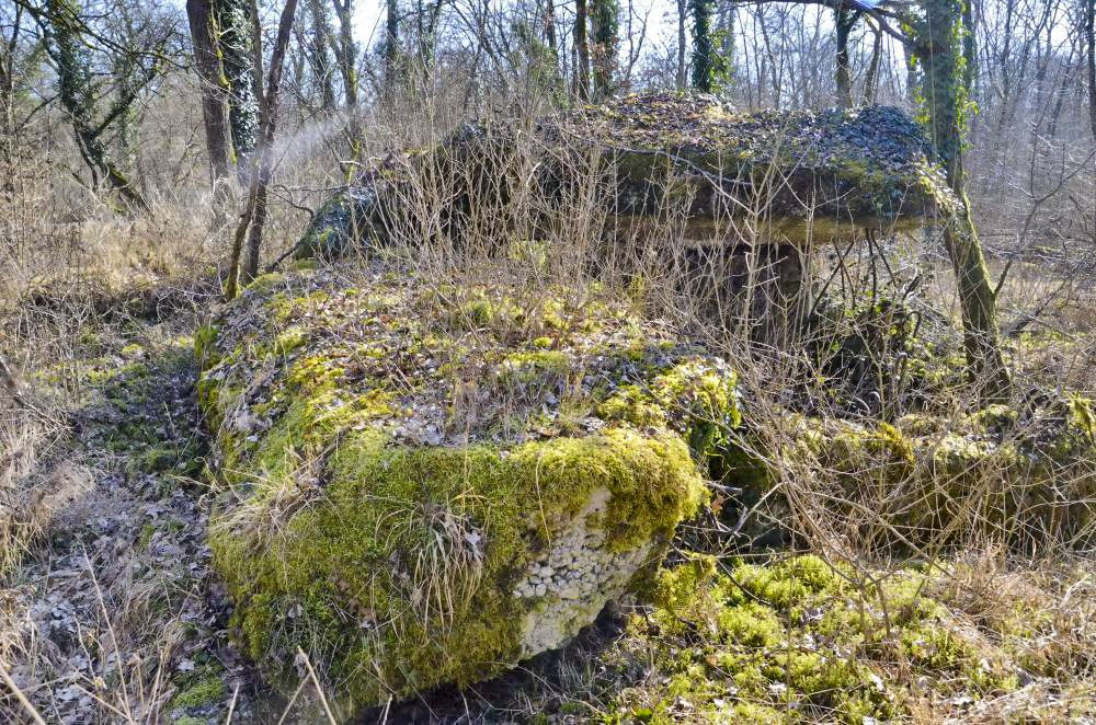 Ligne Maginot - CARREFOUR 224 NORD - (Blockhaus pour arme infanterie) - Façade nord, avec les restes du toit. - D. Froehly