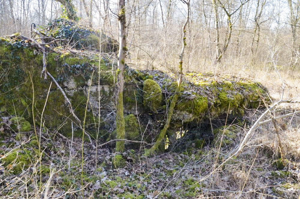 Ligne Maginot - CARREFOUR 224 NORD - (Blockhaus pour arme infanterie) - Façade nord-est, avec les restes du toit. - D. Froehly