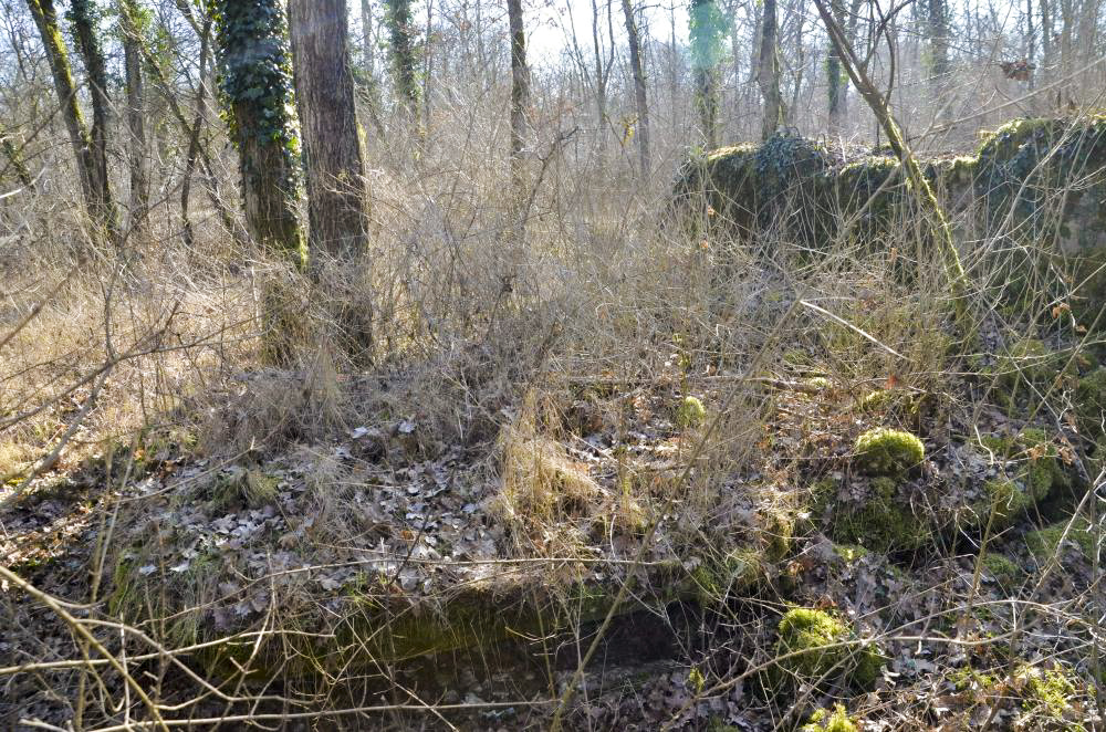Ligne Maginot - CARREFOUR 224 NORD - (Blockhaus pour arme infanterie) - Plate-forme devant la façade est - D. Froehly