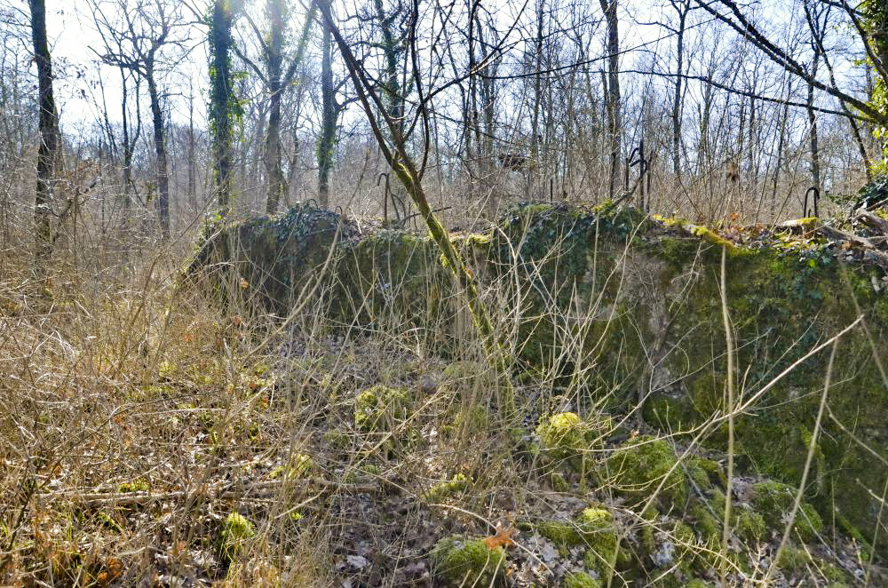 Ligne Maginot - CARREFOUR 224 NORD - (Blockhaus pour arme infanterie) - Façade est, devant la plate-forme - D. Froehly