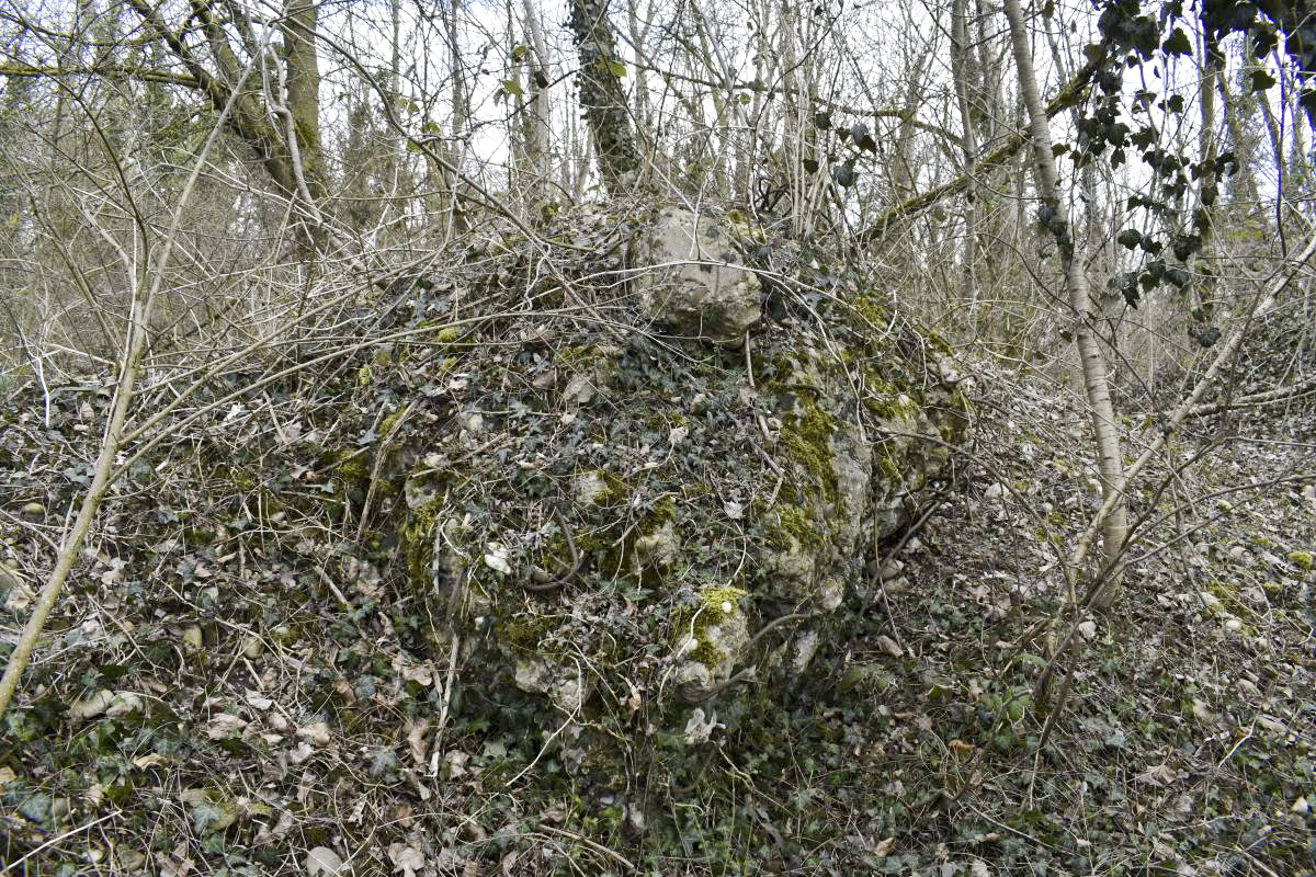 Ligne Maginot - CHALAMPE SUD 2 - (Blockhaus de type indéterminé) -  - D. Froehly