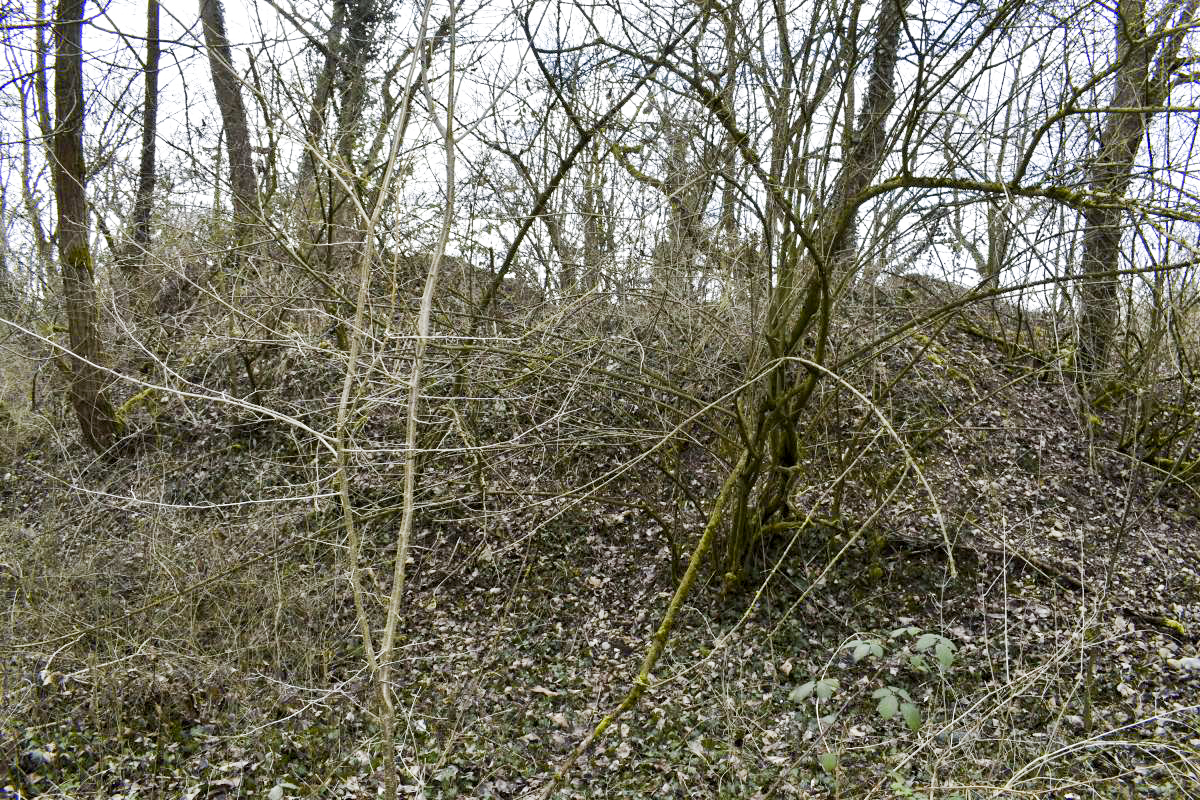 Ligne Maginot - CHALAMPE SUD 2 - (Blockhaus de type indéterminé) -  - D. Froehly