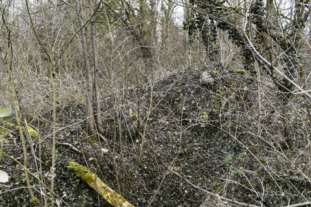 Ligne Maginot - CHALAMPE SUD 2 - (Blockhaus de type indéterminé) -  - D. Froehly