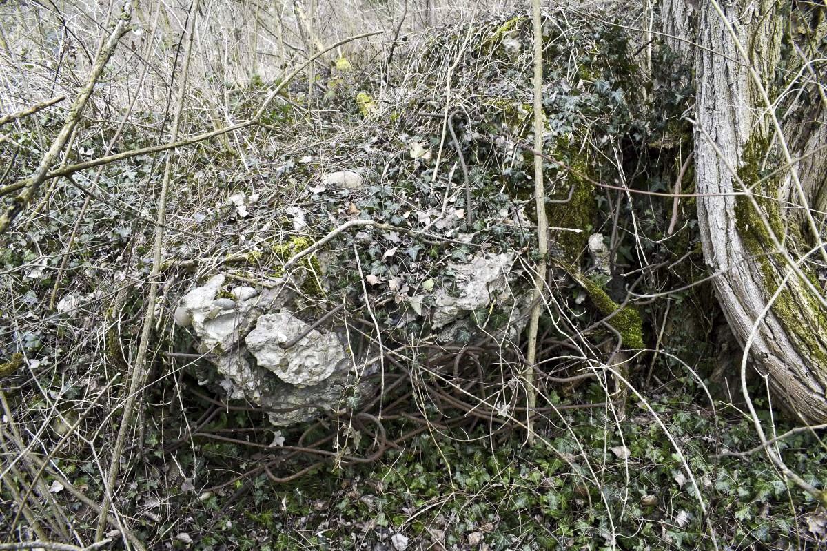 Ligne Maginot - CHALAMPE SUD 2 - (Blockhaus de type indéterminé) -  - D. Froehly