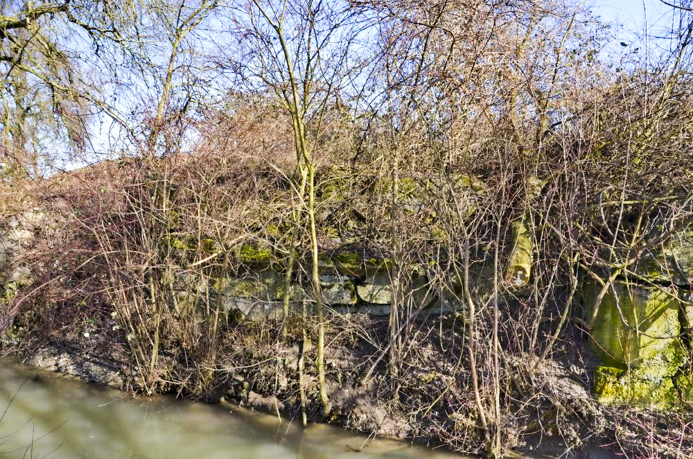 Ligne Maginot - CHALAMPE OUEST 2 - (Abri) - Vue d'ensemble depuis le ruisseau - D. Froehly