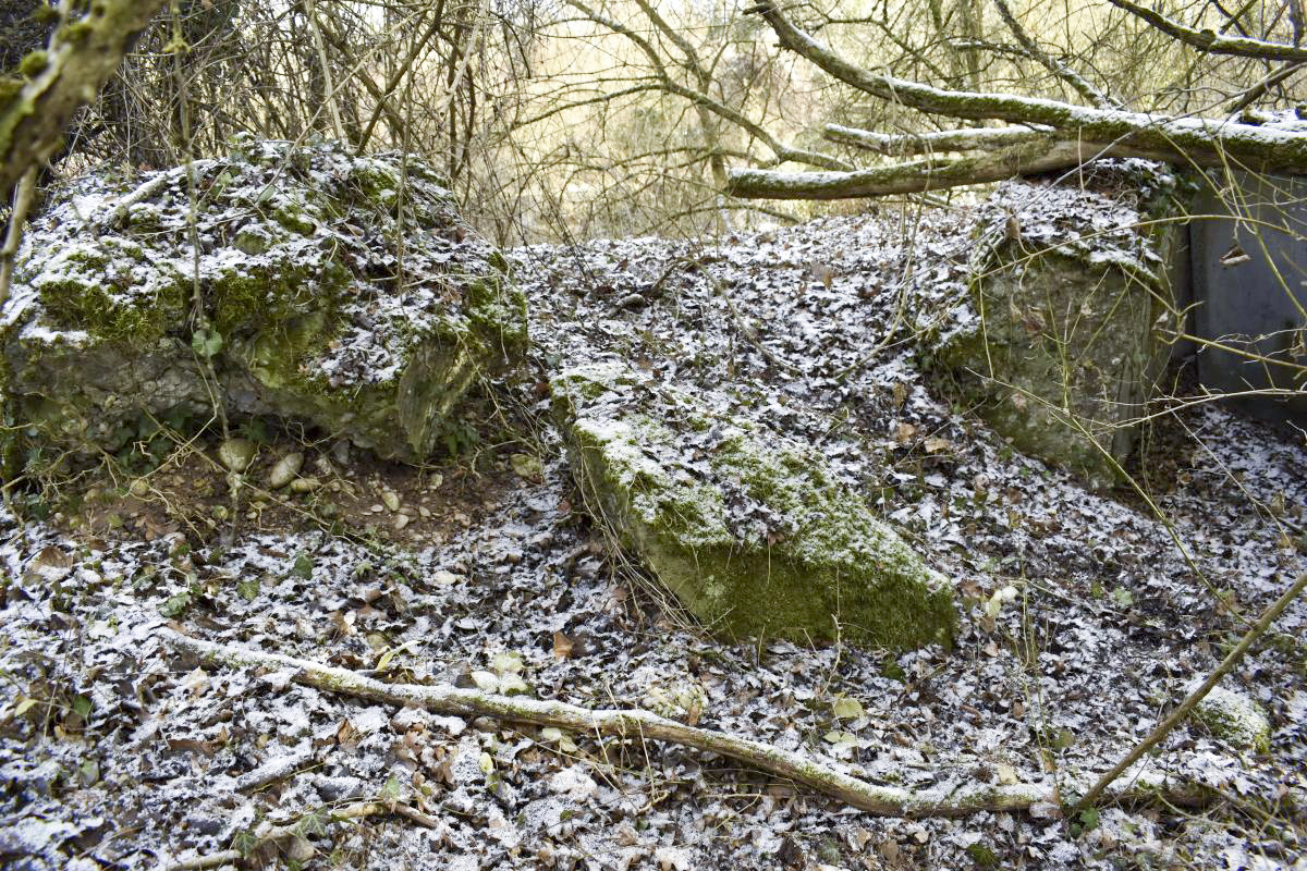 Ligne Maginot - ECLUSE 46 NORD - (Blockhaus de type indéterminé) -  - D. Froehly
