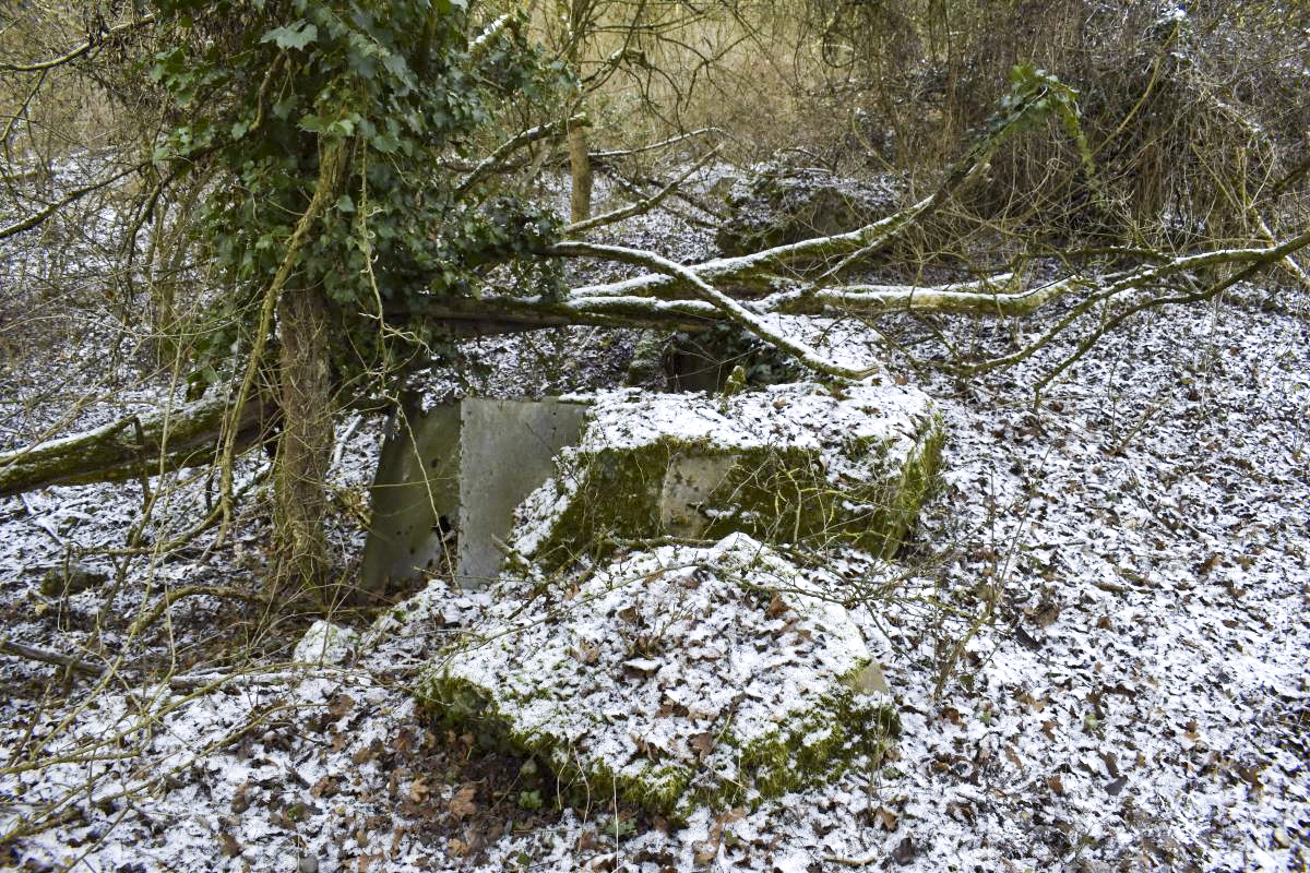 Ligne Maginot - ECLUSE 46 NORD - (Blockhaus de type indéterminé) -  - D. Froehly
