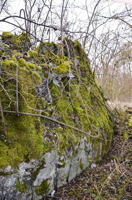Ligne Maginot - G39 - RUMERSHEIM LE HAUT BERGE 3 - (Blockhaus pour arme infanterie) - Façade coté berge - D. Froehly