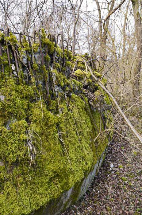 Ligne Maginot - G39 - RUMERSHEIM LE HAUT BERGE 3 - (Blockhaus pour arme infanterie) - Façade coté berge - D. Froehly