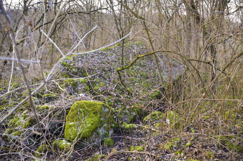 Ligne Maginot - G39 - RUMERSHEIM LE HAUT BERGE 3 - (Blockhaus pour arme infanterie) - Retranchement se trouvant à l'arrière de l'abri de l'autre coté du chemin - D. Froehly