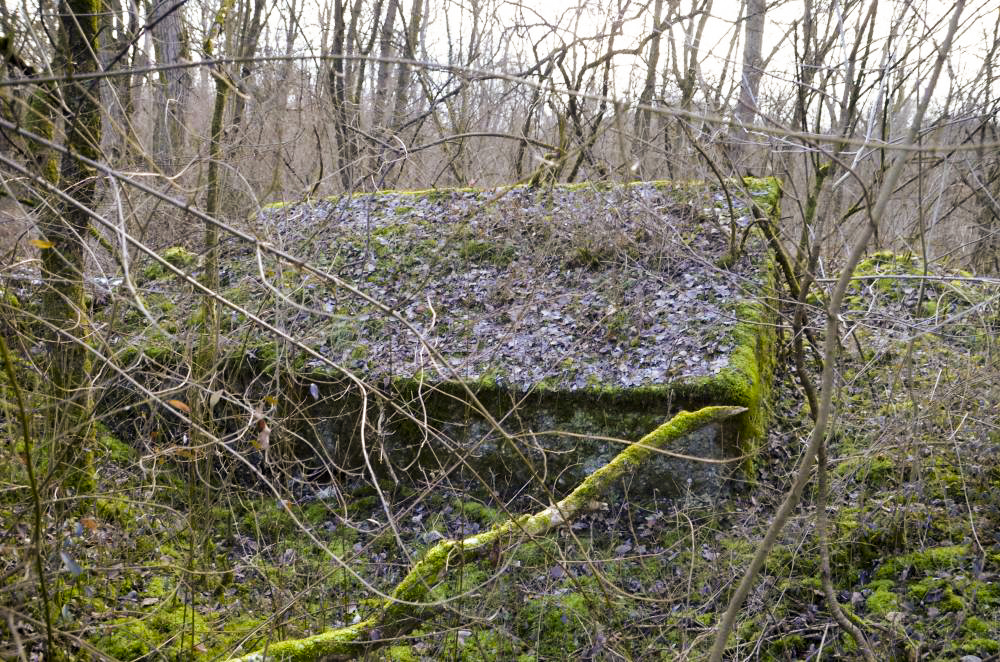 Ligne Maginot - G39 - RUMERSHEIM LE HAUT BERGE 3 - (Blockhaus pour arme infanterie) - Retranchement se trouvant à l'arrière de l'abri de l'autre coté du chemin - D. Froehly