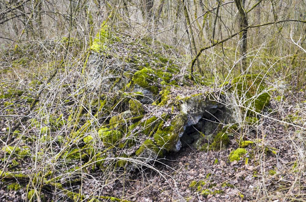 Ligne Maginot - G39 - RUMERSHEIM LE HAUT BERGE 3 - (Blockhaus pour arme infanterie) - Retranchement arrière pour les hommes de troupes - D. Froehly