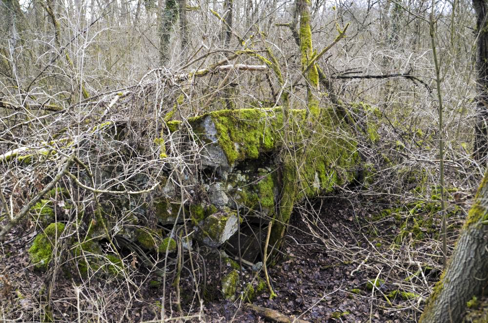 Ligne Maginot - G39 - RUMERSHEIM LE HAUT BERGE 3 - (Blockhaus pour arme infanterie) - Retranchement arrière pour les hommes de troupes - D. Froehly