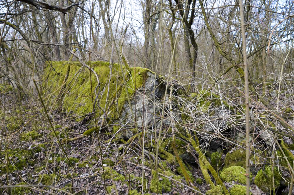 Ligne Maginot - G39 - RUMERSHEIM LE HAUT BERGE 3 - (Blockhaus pour arme infanterie) - Retranchement arrière pour les hommes de troupes - D. Froehly