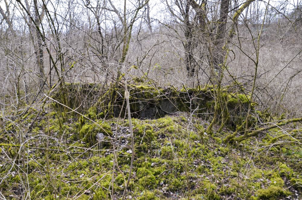 Ligne Maginot - G39 - RUMERSHEIM LE HAUT BERGE 3 - (Blockhaus pour arme infanterie) - Retranchement arrière pour les hommes de troupes - D. Froehly